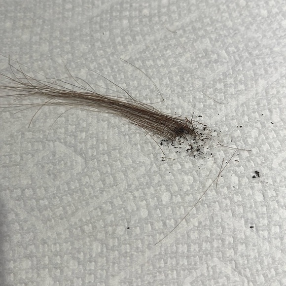 💯% 16” HUMAN Ponytail Claw Clip and Drawstring, Straight, Medium Brown - Picture 4 of 7